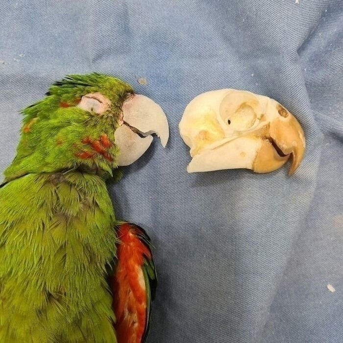      3D     ,       ...