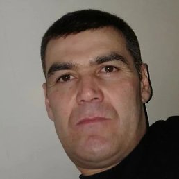 ����, ������, 49 ���