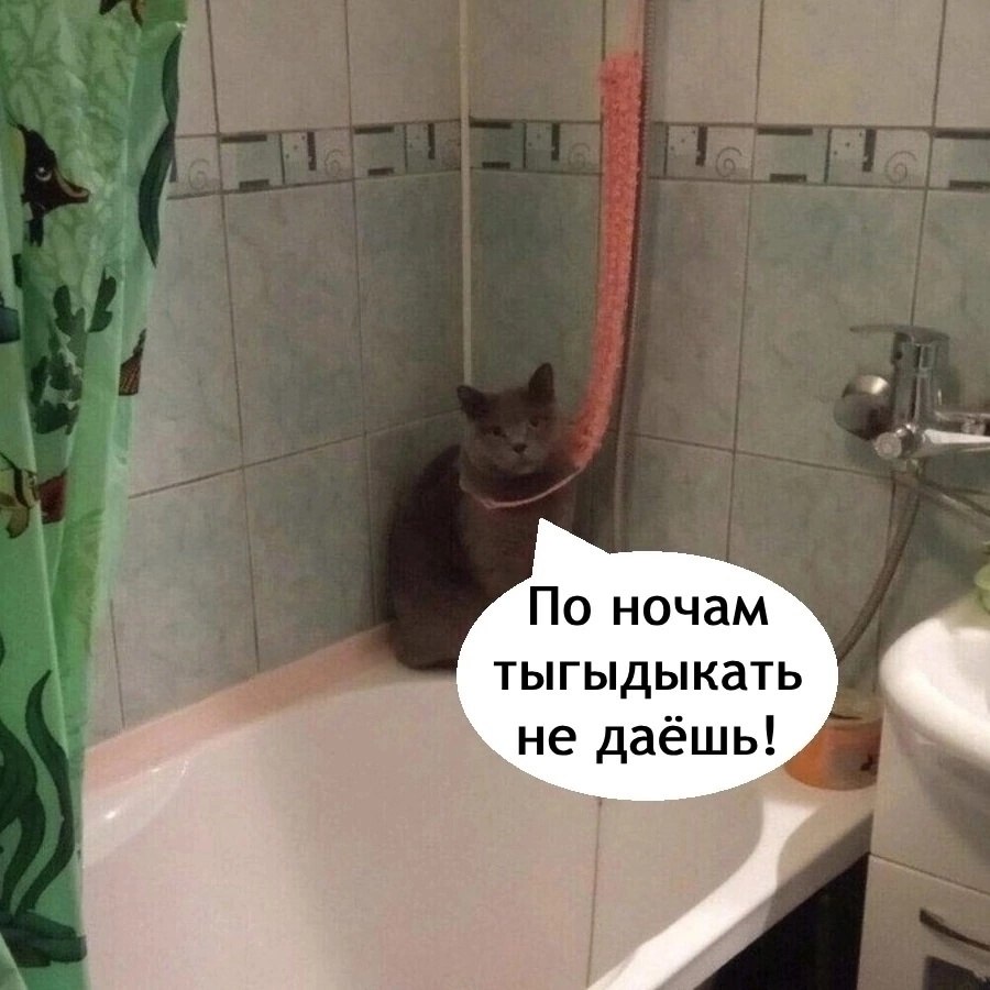  . - 3