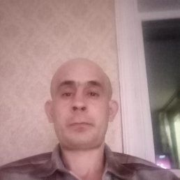 ����, 40 ���, ���������