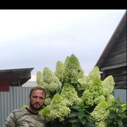 , 45, 