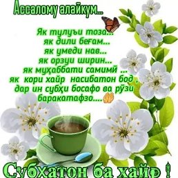 �����, �������, 25 ���