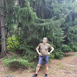 ��������, ������, 51 ���