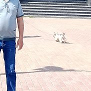 Александр Гриценко, 62 года, Комсомольск-на-Амуре Александр Гриценко, 62 года, Комсомольск-на-Амуре