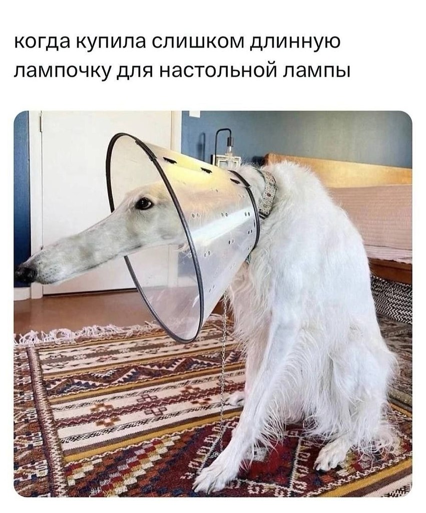  - 22  2025  01:02