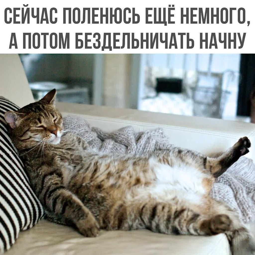   - 14  2025  17:06