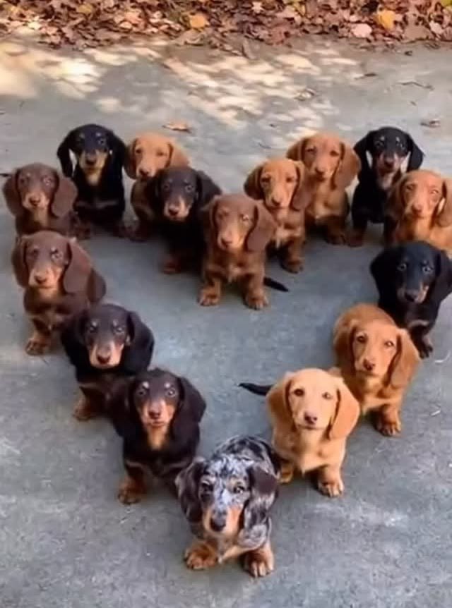 ���, � ���� ���� ���a�a, ����� ������ ������. � �� �a���, �a��� ����� ��� � ����������, � ...