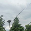 ���� ������, �����-��������� - ��������� 16 ���� 2025 � ������ ����������