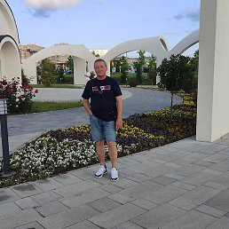 ����, �����, 50 ���