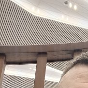 �������, 35 ���, �����