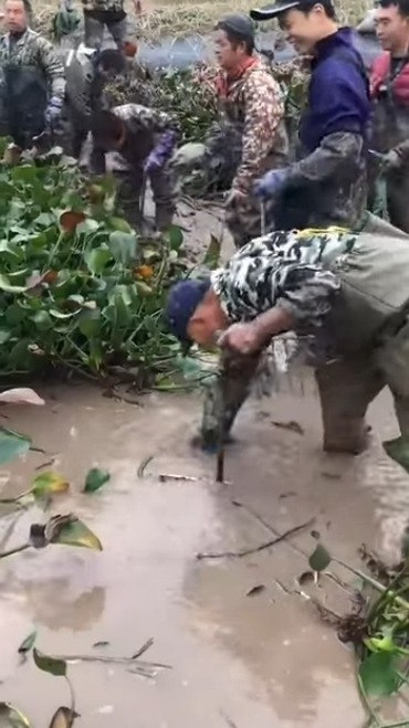 � ��� ��������� ������ � ������ �������. - 2