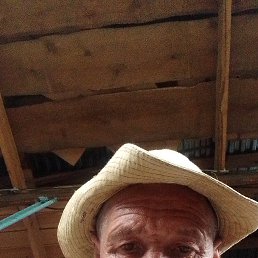 , 53,  