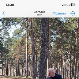 ���� ����, ���������, 57 ��� - ��������� 29 ������ 2025