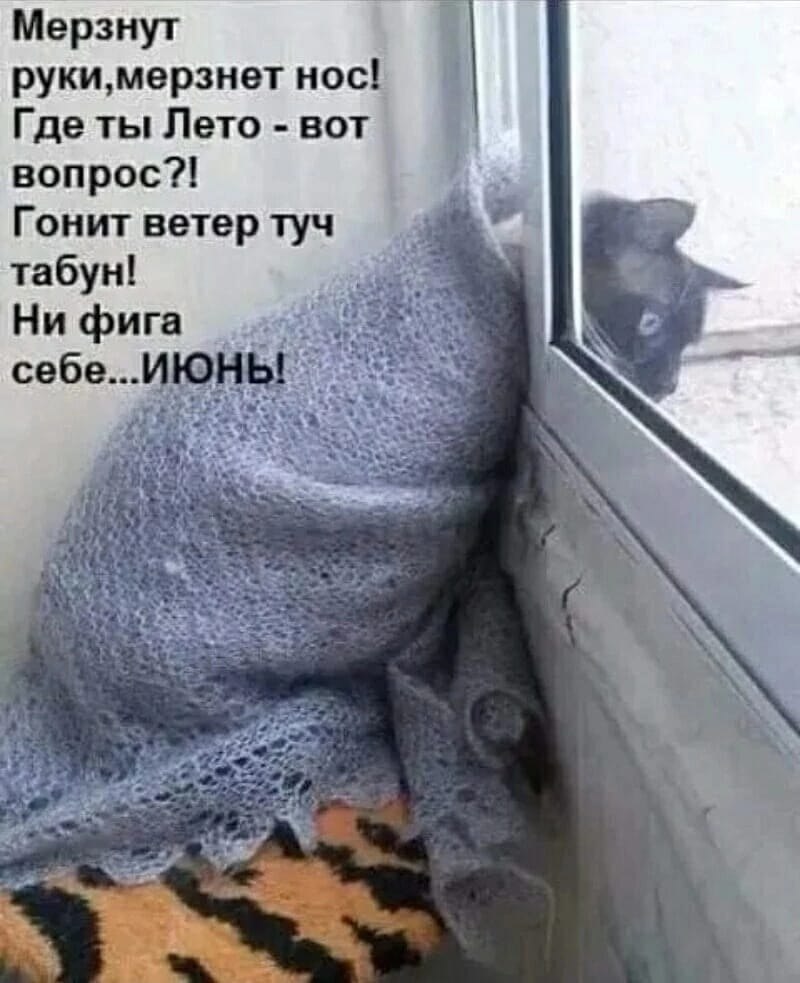   ! - 21  2025  09:19