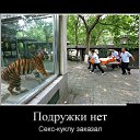  , , 51  -  13  2025    