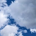 ���� �����, ����������, 44 ���� - ��������� 20 ������ 2024 � ������ �������