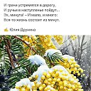 ���� ������ �� �����, ������� - ��������� 8 ����� 2026 � ������ ���� ����������
