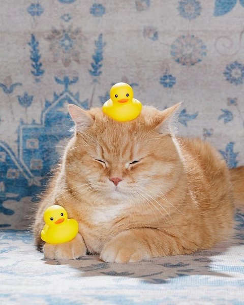 ����� � ��� ����� ������ - 3