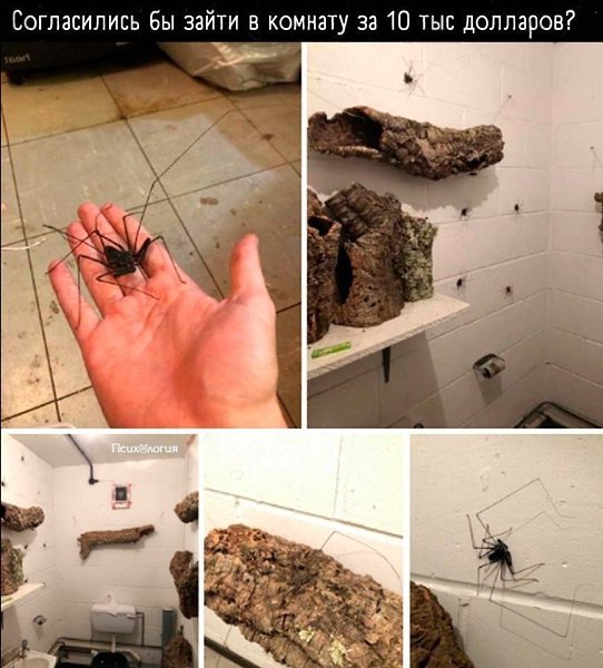 � ���� ������� �� ������ ����