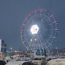 ���� ������, ����-���������, 61 ��� - ��������� 29 ������ 2026 � ������ ���� ����������