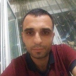 ������, ���������, 40 ���