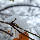 ���� ���������, �������, 65 ��� - ��������� 9 ������� 2024 � ������ ������ ��������