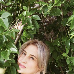 �����, 43 ����, �����������