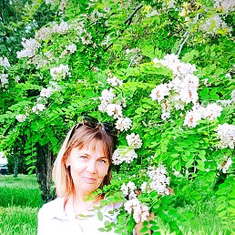 , 44 , 