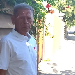 , 53, 