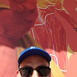 , 41 , 