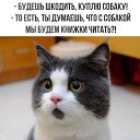 ���� ����, ��������� - ��������� 12 ������� 2026 � ������ ������ ��������