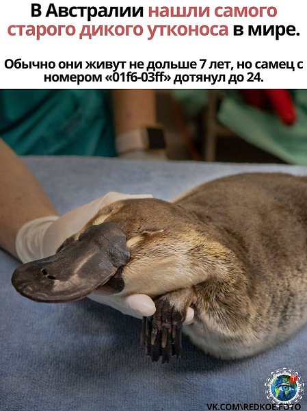  o-p  xopo op  pa cao.