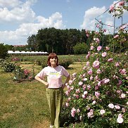 �������, , �����