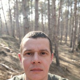 , 40, 