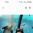 ���� �����, ����������� - ��������� 29 ��� 2025 � ������ ���� ����������