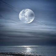 ����, 38 ���, ������