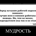 ���� ���������, ������ - ��������� 14 ������� 2026 � ������ �������