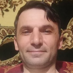 ������, ���������, 46 ���