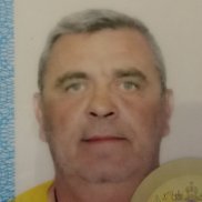 , 53 , 