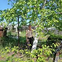 ���� ������, ���������, 61 ��� - ��������� 25 ����� 2026