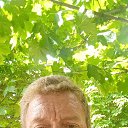 ���� �������, ���������, 49 ��� - ��������� 7 ������ 2026