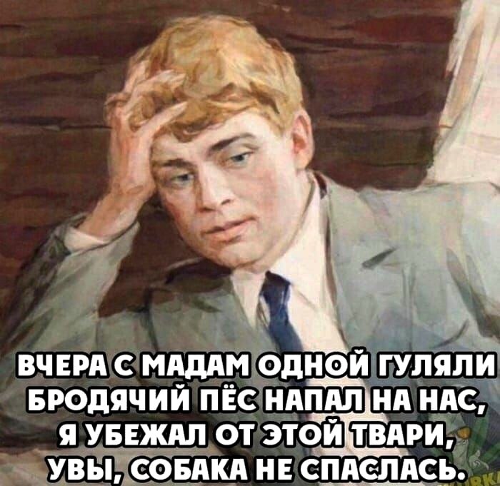   - 20  2024  23:33