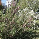  , -, 54  -  23  2024    