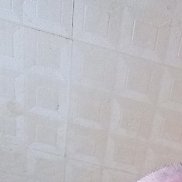 , 51 , 