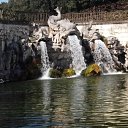 ���� �����, ������, 42 ���� - ��������� 25 ������� 2024 � ������ ���� ����������