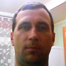 ����, �������, 43 ����