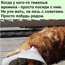 ���� �����, ������, 65 ��� - ��������� 7 ������� 2025 � ������ ������ ��������