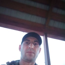 , 41 , 