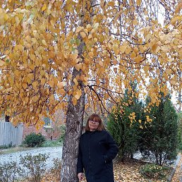 �������, ������-��-����, 64 ����