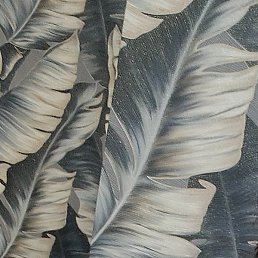 ������, ���������, 54 ����